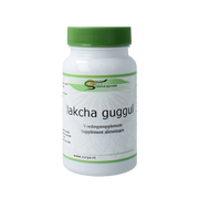 Surya Lakcha guggul 60.00 Tabletten