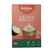 Bolsius Maxi lichten 10uur wit met gouden cup 12.00 Stuks