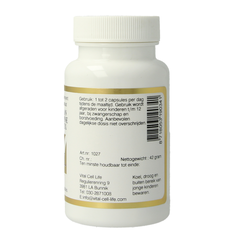 Vital Cell Life Mangaan/L-Arginine complex 100 Vegetarische capsules
