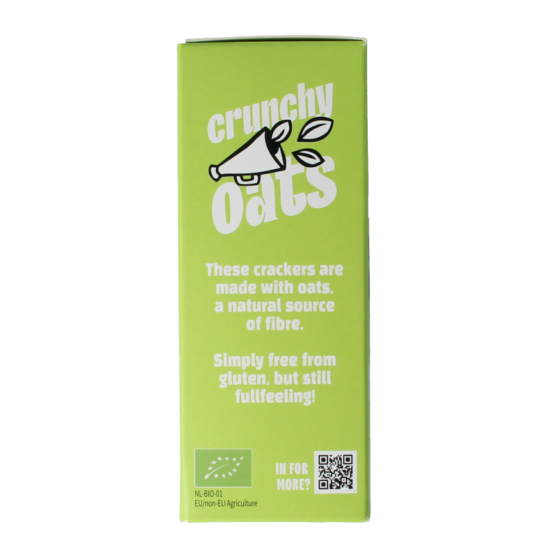 Leev Havercracker naturel free from gluten bio 100 Gram