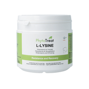PhytoTreat L-lysine hond/kat 150.00 Gram