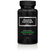 APB Holland Garcinia cambogia puur 290mg 90 Vegetarische capsules