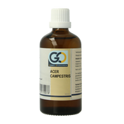 GO Acer campestris bio 100 Milliliter