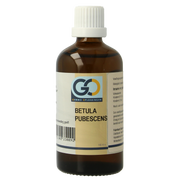 GO Betula pubescens bio 100.00 Milliliter