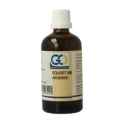 GO Equisetum arvense bio 100 Milliliter