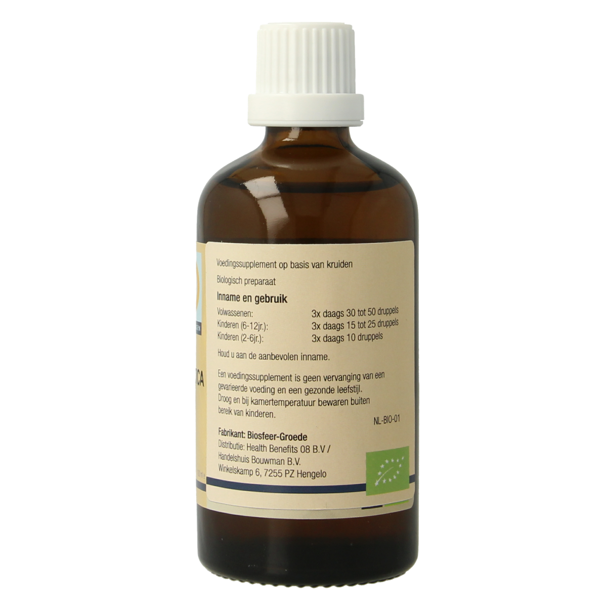 GO Fagus sylvatica bio 100 Milliliter