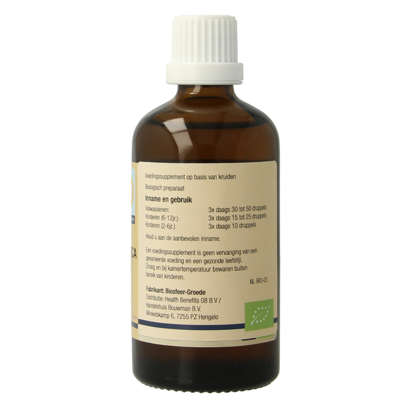GO Fagus sylvatica bio 100 Milliliter