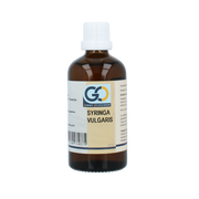 GO Syringa vulgaris bio 100.00 Milliliter