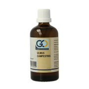 GO Ulmus campestris bio 100.00 Milliliter