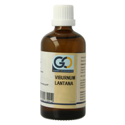 GO Viburnum lantana bio 100 Milliliter