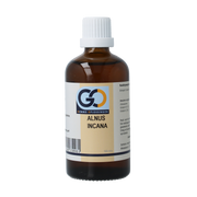 GO Alnus incana bio 100.00 Milliliter