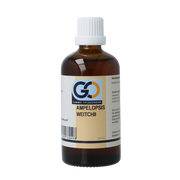 GO Ampelopsis weitchii bio 100 Milliliter