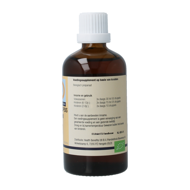 GO Ampelopsis weitchii bio 100 Milliliter