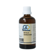 GO Betula verrucosa bio 100 Milliliter