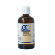 GO Sorbus domestica bio 100.00 Milliliter