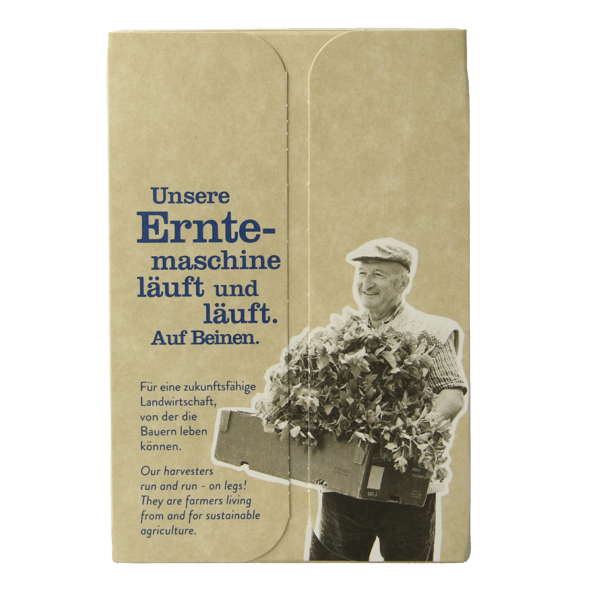 Sonnentor Assam English zwarte thee bio 18.00 Zakjes