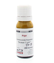 DNH Alga  200.00 Stuks
