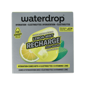 Waterdrop  Microlyte lemon mint 12 Stuks