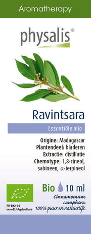 Physalis Ravintsara bio 10 Milliliter