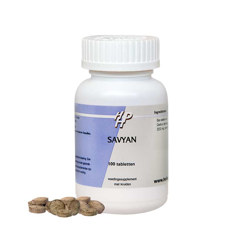 Ayurveda Savyan 100.00 Tabletten